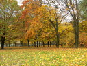 Файл=IMG_0822.JPG
Объём=3473KB
Размеры=2304x1736
Дата=Янв 08, 2012 IMG_0822.JPG