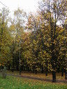 Файл=IMG_0825.JPG
Объём=3115KB
Размеры=1736x2304
Дата=Янв 08, 2012 IMG_0825.JPG