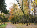 Файл=IMG_0827.JPG
Объём=3216KB
Размеры=2304x1736
Дата=Янв 08, 2012 IMG_0827.JPG