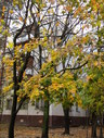 Файл=IMG_0829.JPG
Объём=2956KB
Размеры=1736x2304
Дата=Янв 08, 2012 IMG_0829.JPG