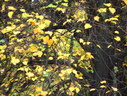 Файл=IMG_0830.JPG
Объём=2064KB
Размеры=2304x1736
Дата=Янв 08, 2012 IMG_0830.JPG