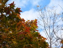 Файл=IMG_0835.JPG
Объём=2021KB
Размеры=2304x1736
Дата=Янв 08, 2012 IMG_0835.JPG