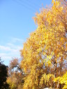 Файл=IMG_0851.JPG
Объём=3200KB
Размеры=1736x2304
Дата=Янв 08, 2012 IMG_0851.JPG