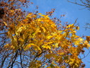 Файл=IMG_0853.JPG
Объём=2773KB
Размеры=2304x1736
Дата=Янв 08, 2012 IMG_0853.JPG