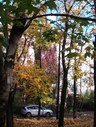 Файл=IMG_0854.JPG
Объём=2775KB
Размеры=1736x2304
Дата=Янв 08, 2012 IMG_0854.JPG