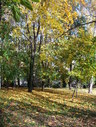 Файл=IMG_0855.JPG
Объём=3596KB
Размеры=1736x2304
Дата=Янв 08, 2012 IMG_0855.JPG