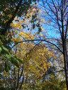 Файл=IMG_0856.JPG
Объём=3636KB
Размеры=1736x2304
Дата=Янв 08, 2012 IMG_0856.JPG