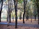 Файл=IMG_0868.JPG
Объём=2798KB
Размеры=2304x1736
Дата=Янв 08, 2012 IMG_0868.JPG