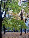 Файл=IMG_0870.JPG
Объём=3120KB
Размеры=1736x2304
Дата=Янв 08, 2012 IMG_0870.JPG