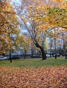 Файл=IMG_0871.JPG
Объём=3404KB
Размеры=1736x2304
Дата=Янв 08, 2012 IMG_0871.JPG