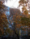 Файл=IMG_0872.JPG
Объём=2801KB
Размеры=1736x2304
Дата=Янв 08, 2012 IMG_0872.JPG