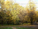 Файл=IMG_0875.JPG
Объём=3302KB
Размеры=2304x1736
Дата=Янв 08, 2012 IMG_0875.JPG