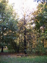 Файл=IMG_0882.JPG
Объём=2965KB
Размеры=1736x2304
Дата=Янв 08, 2012 IMG_0882.JPG