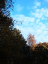 Файл=IMG_0883.JPG
Объём=1937KB
Размеры=1736x2304
Дата=Янв 08, 2012 IMG_0883.JPG