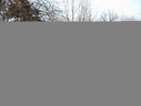 Файл=IMG_1238.JPG
Объём=608KB
Размеры=2304x1736
Дата=Янв 08, 2012 IMG_1238.JPG
