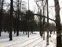 Файл=IMG_1242.JPG
Объём=2354KB
Размеры=2304x1736
Дата=Янв 08, 2012 IMG_1242.JPG
