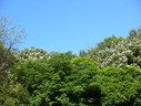 Файл=IMG_1596.JPG
Объём=2803KB
Размеры=2304x1736
Дата=Янв 08, 2012 IMG_1596.JPG