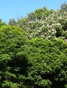 IMG_1598.JPG