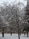 Файл=IMG_5042.JPG
Объём=2853KB
Размеры=1736x2304
Дата=Янв 08, 2012 IMG_5042.JPG