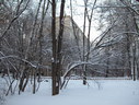 IMG_5069.JPG