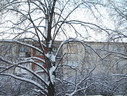 Файл=IMG_5077.JPG
Объём=3138KB
Размеры=2304x1736
Дата=Янв 08, 2012 IMG_5077.JPG