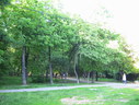Файл=IMG_5758.JPG
Объём=2656KB
Размеры=2304x1736
Дата=Янв 08, 2012 IMG_5758.JPG