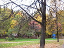 Файл=IMG_7896.JPG
Объём=3117KB
Размеры=2304x1736
Дата=Янв 08, 2012 IMG_7896.JPG