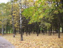 Файл=IMG_7897.JPG
Объём=2234KB
Размеры=2304x1736
Дата=Янв 08, 2012 IMG_7897.JPG
