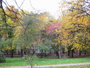 Файл=IMG_7898.JPG
Объём=2946KB
Размеры=2304x1736
Дата=Янв 08, 2012 IMG_7898.JPG
