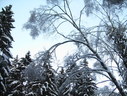 Файл=IMG_5079.JPG
Объём=2783KB
Размеры=2304x1736
Дата=Янв 08, 2012 IMG_5079.JPG