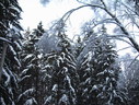 Файл=IMG_5080.JPG
Объём=2476KB
Размеры=2304x1736
Дата=Янв 08, 2012 IMG_5080.JPG