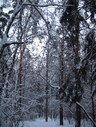 Файл=IMG_5083.JPG
Объём=2758KB
Размеры=1736x2304
Дата=Янв 08, 2012 IMG_5083.JPG