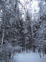 Файл=IMG_5084.JPG
Объём=3045KB
Размеры=1736x2304
Дата=Янв 08, 2012 IMG_5084.JPG