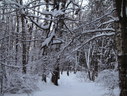 Файл=IMG_5085.JPG
Объём=2566KB
Размеры=2304x1736
Дата=Янв 08, 2012 IMG_5085.JPG