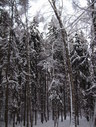 Файл=IMG_5087.JPG
Объём=2434KB
Размеры=1736x2304
Дата=Янв 08, 2012 IMG_5087.JPG