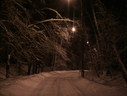 IMG_5142.JPG