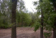 Файл=15029.JPG
Объём=95KB
Размеры=640x429
Дата=Апр 05, 2009 15029.JPG