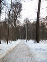 Файл=IMG_1251.JPG
Объём=2457KB
Размеры=1736x2304
Дата=Янв 08, 2012 IMG_1251.JPG
