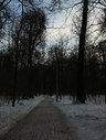 Файл=IMG_1252.JPG
Объём=2189KB
Размеры=1736x2304
Дата=Янв 08, 2012 IMG_1252.JPG