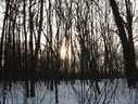 Файл=IMG_1253.JPG
Объём=2763KB
Размеры=2304x1736
Дата=Янв 08, 2012 IMG_1253.JPG