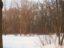 Файл=IMG_1260.JPG
Объём=2695KB
Размеры=2304x1736
Дата=Янв 08, 2012 IMG_1260.JPG