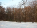 Файл=IMG_1261.JPG
Объём=2447KB
Размеры=2304x1736
Дата=Янв 08, 2012 IMG_1261.JPG