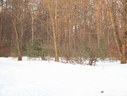 Файл=IMG_1262.JPG
Объём=1885KB
Размеры=2304x1736
Дата=Янв 08, 2012 IMG_1262.JPG