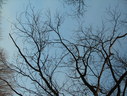 Файл=IMG_1264.JPG
Объём=2530KB
Размеры=2304x1736
Дата=Янв 08, 2012 IMG_1264.JPG