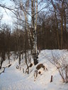 Файл=IMG_1268.JPG
Объём=2732KB
Размеры=1736x2304
Дата=Янв 08, 2012 IMG_1268.JPG