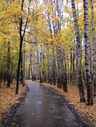 Файл=IMG_2445.JPG
Объём=2802KB
Размеры=1736x2304
Дата=Янв 08, 2012 IMG_2445.JPG