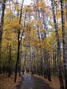 Файл=IMG_2446.JPG
Объём=3014KB
Размеры=1736x2304
Дата=Янв 08, 2012 IMG_2446.JPG