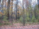 Файл=IMG_2447.JPG
Объём=3428KB
Размеры=2304x1736
Дата=Янв 08, 2012 IMG_2447.JPG