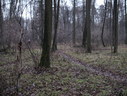 Файл=IMG_2530.JPG
Объём=2569KB
Размеры=2304x1736
Дата=Янв 08, 2012 IMG_2530.JPG
