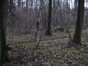 Файл=IMG_2531.JPG
Объём=2445KB
Размеры=2304x1736
Дата=Янв 08, 2012 IMG_2531.JPG